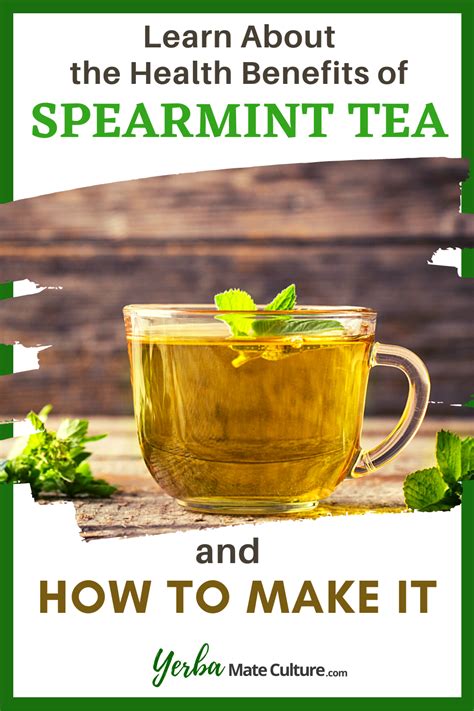 The Science Behind Mint Magic Tea: Understanding its Healing Properties
